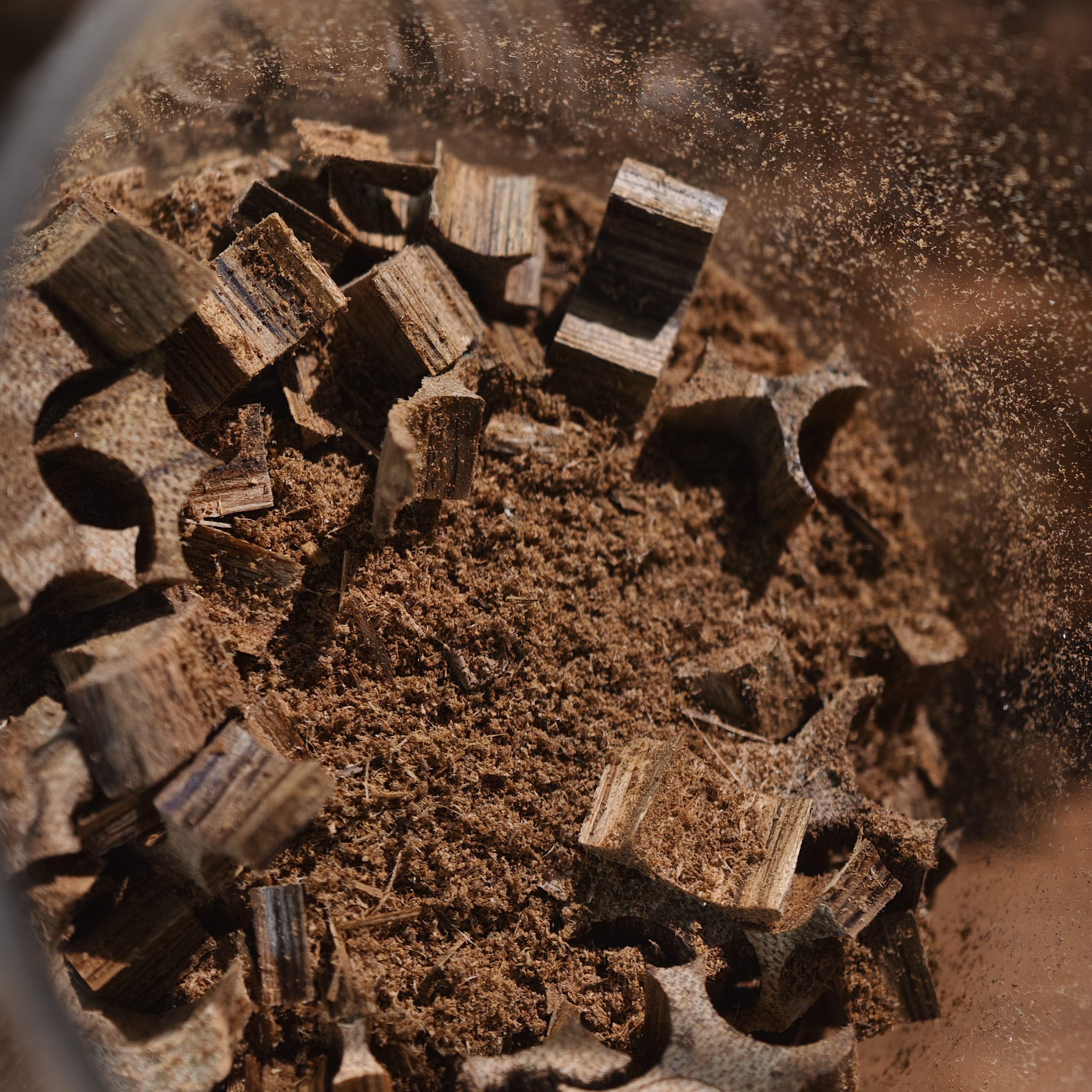 【天興尖味】柬越交界土熟棋楠种 熏香料5g  关注播播间