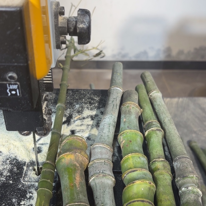 竹零***忆实心竹竹竹竹竹竹竹竹