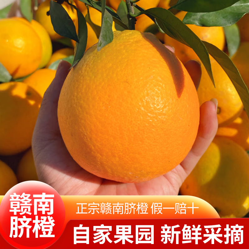 【明日达】正宗江西赣南早脐橙新鲜现摘头茬甜橙当季精品水果产地直发 今天拍，明天到橙子 -----团江西省