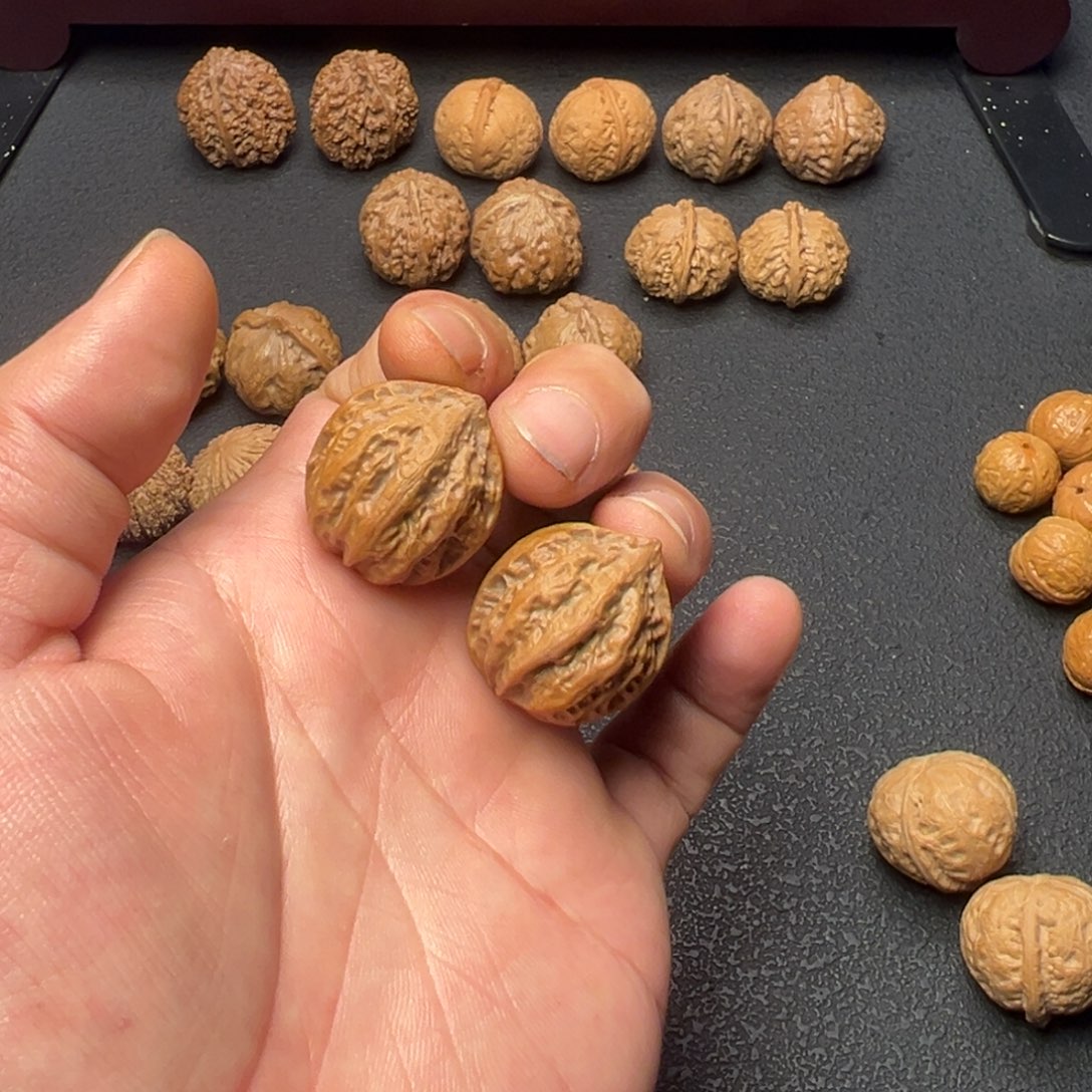 把件文玩核桃小八棱