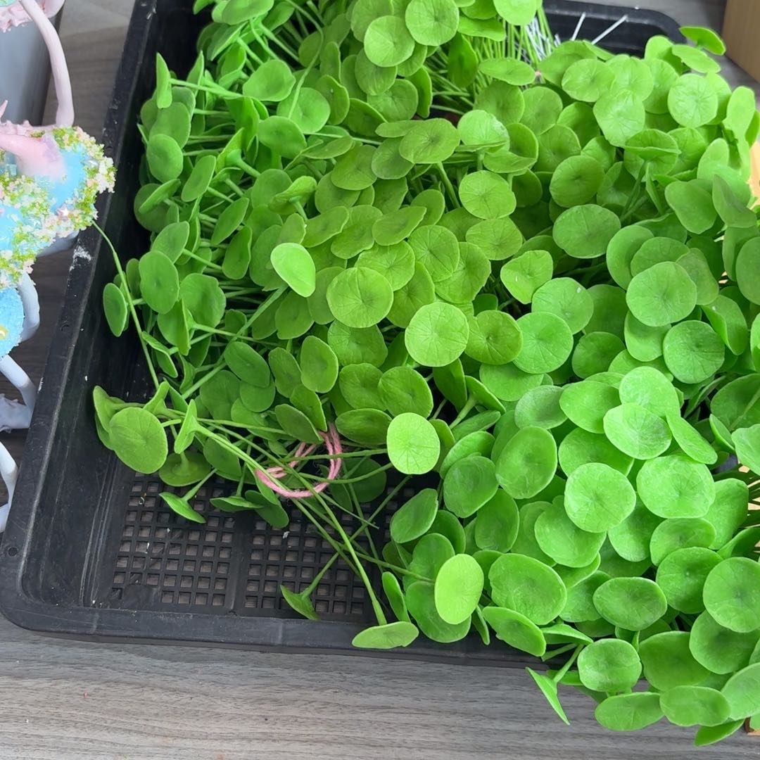 树脂制品13号5根摸