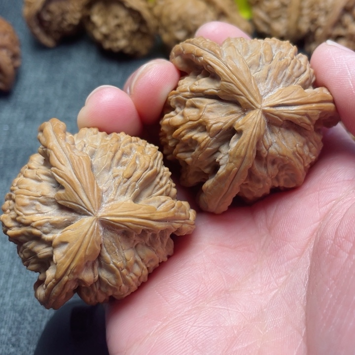 工艺三棱白狮子三棱