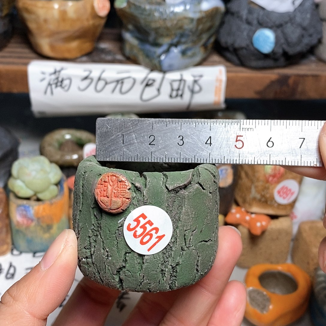 红陶拍5送一个小