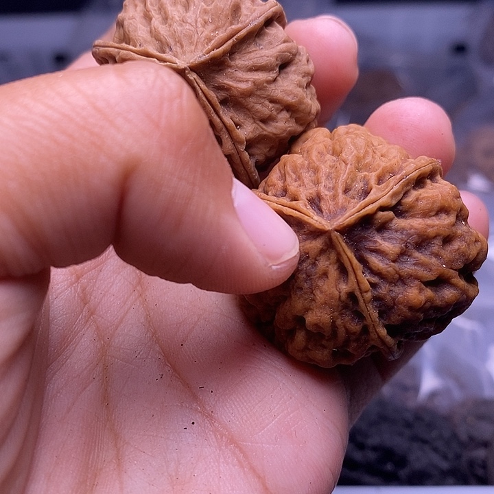 文玩核桃把件   29