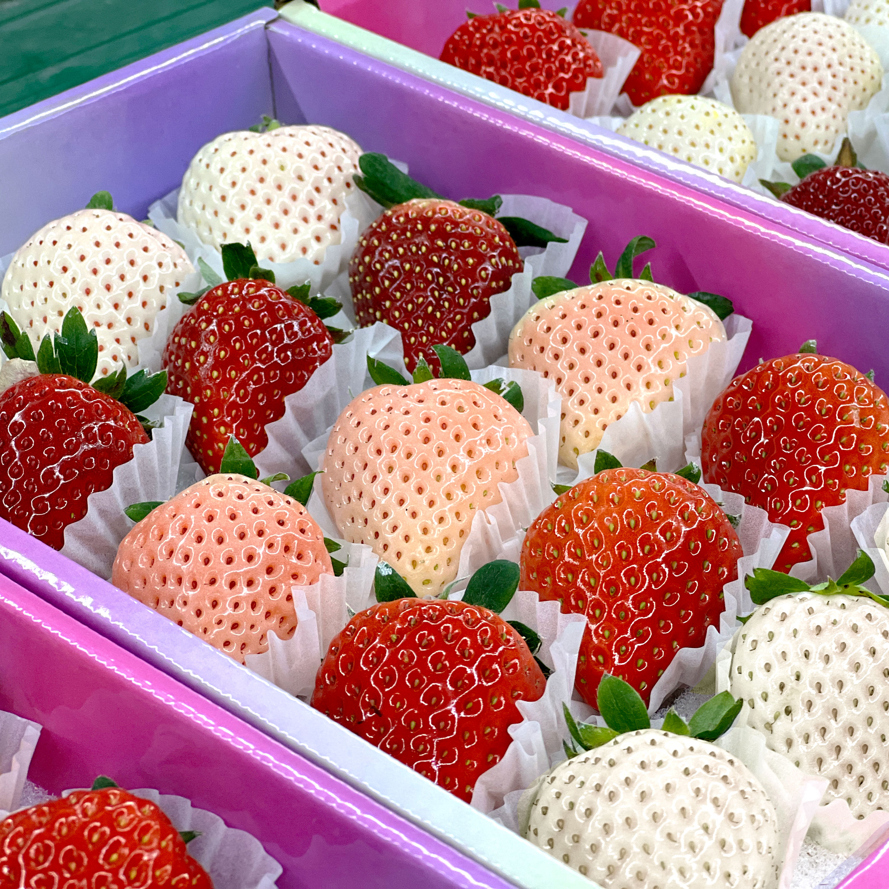 【4-色彩莓小果试吃装颜色随机发】丹东彩莓顺丰包邮现摘现发