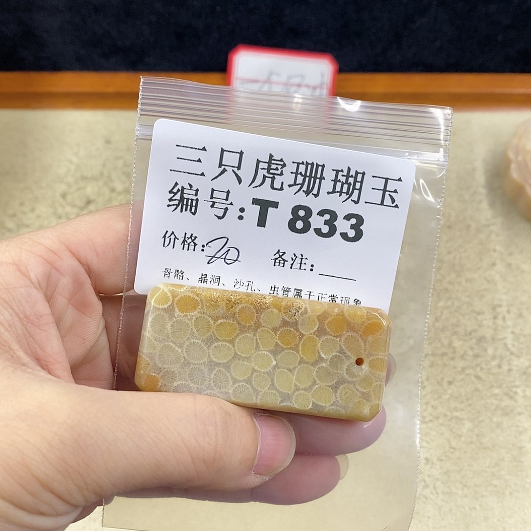 硅化珊瑚（珊瑚玉）1未镶嵌千**集