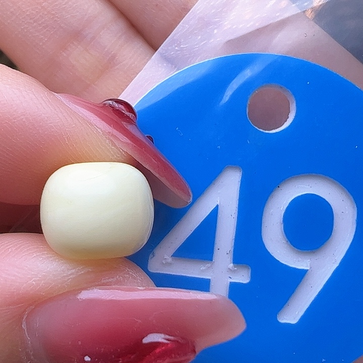 蜜蜡裸石未镶嵌微花粉 9.8mm 瓷白 老型