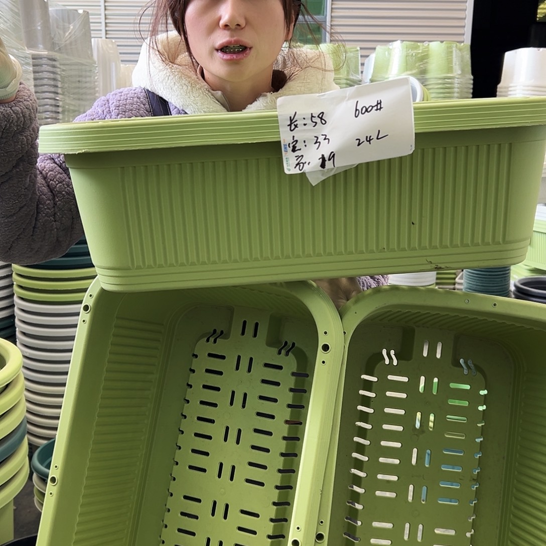 菜盆600#果绿3个无托