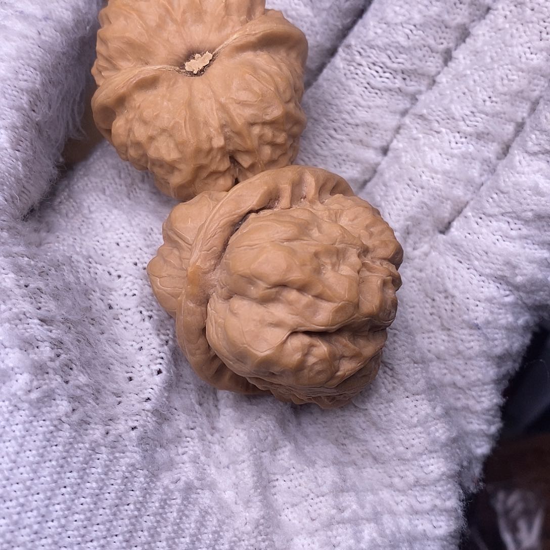 桃核把件云*扬蛤蟆头