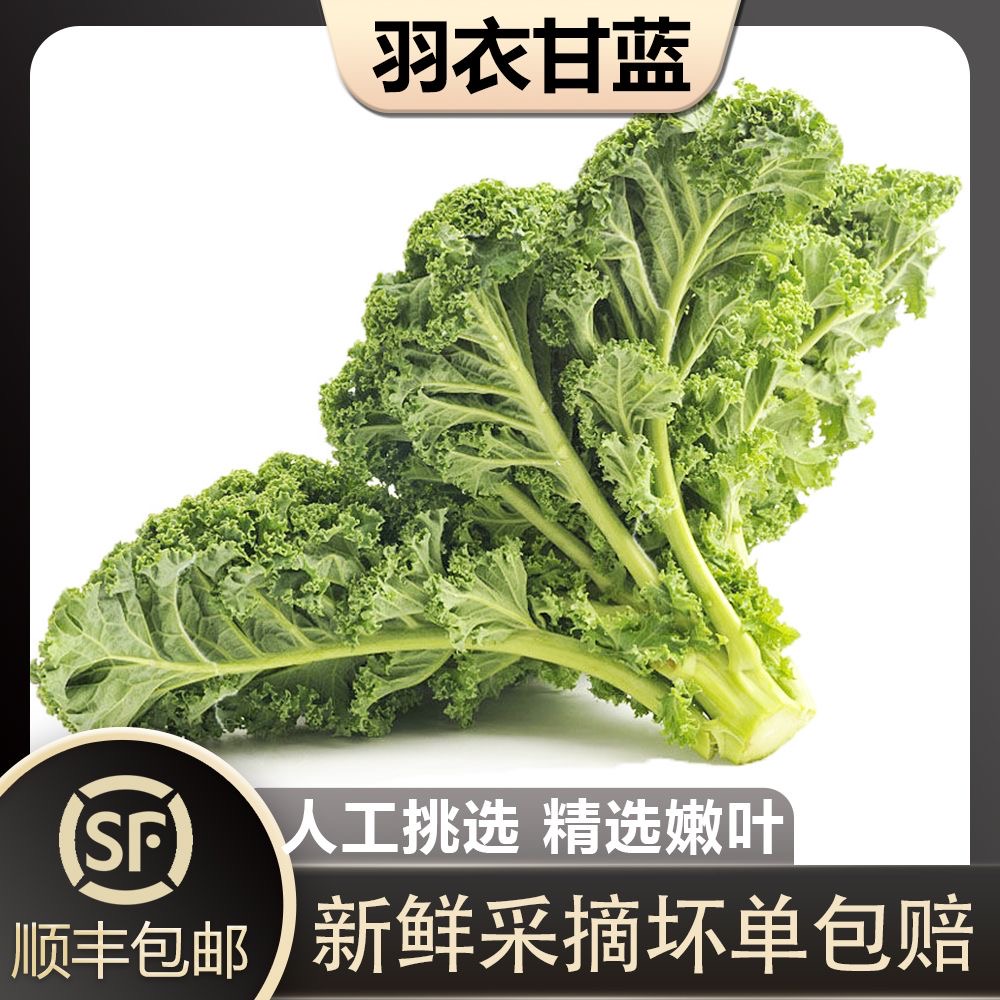 【顺丰/京东】新鲜羽衣甘蓝菜 嫩叶kale健身减新鲜榨汁蔬菜羽衣甘兰