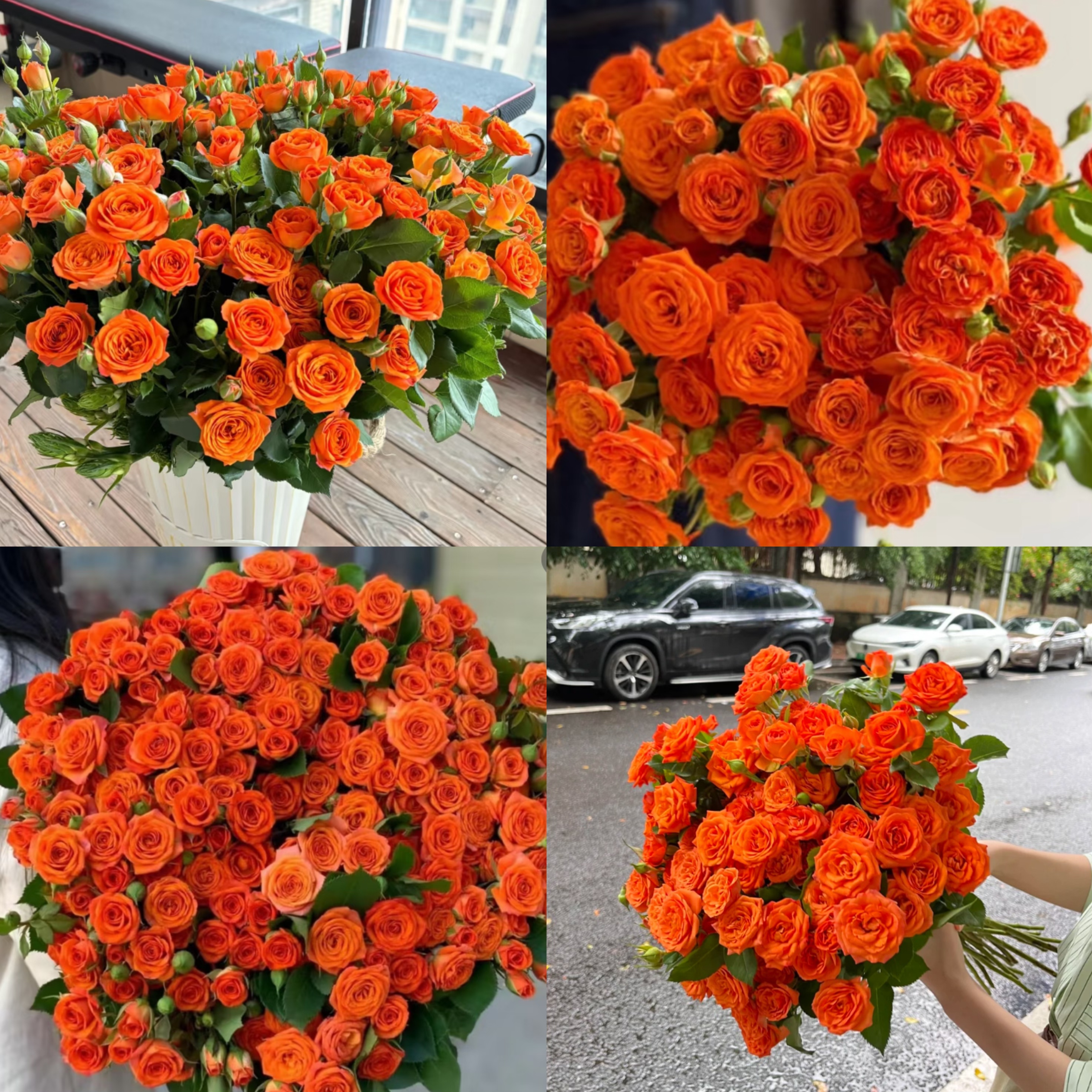 【橙色芭比20支】 同地址任意拍2单冷链送货上门