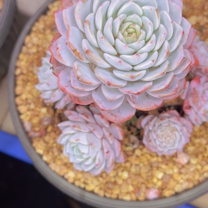 九***字40//////////==/=//////