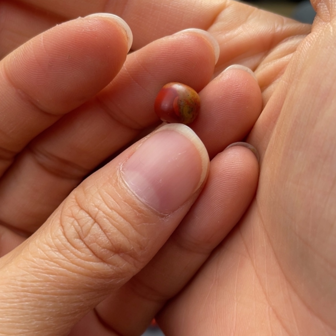 【闪购商品】南红玛瑙单珠8.9*8未镶嵌