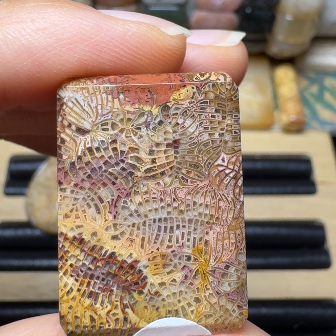 硅化玉多彩凤尾，手工牌未镶嵌