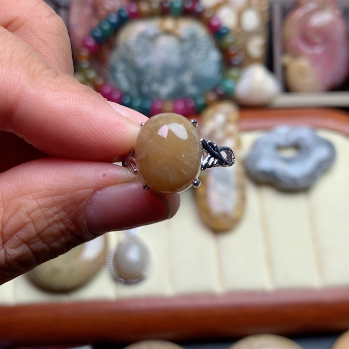 硅化珊瑚（珊瑚玉）颈饰未镶嵌