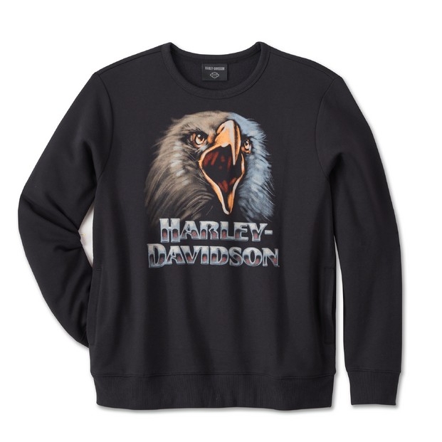 加绒加厚款宽松型秋季秋冬卫衣休闲上衣长袖圆领呼啸鹰