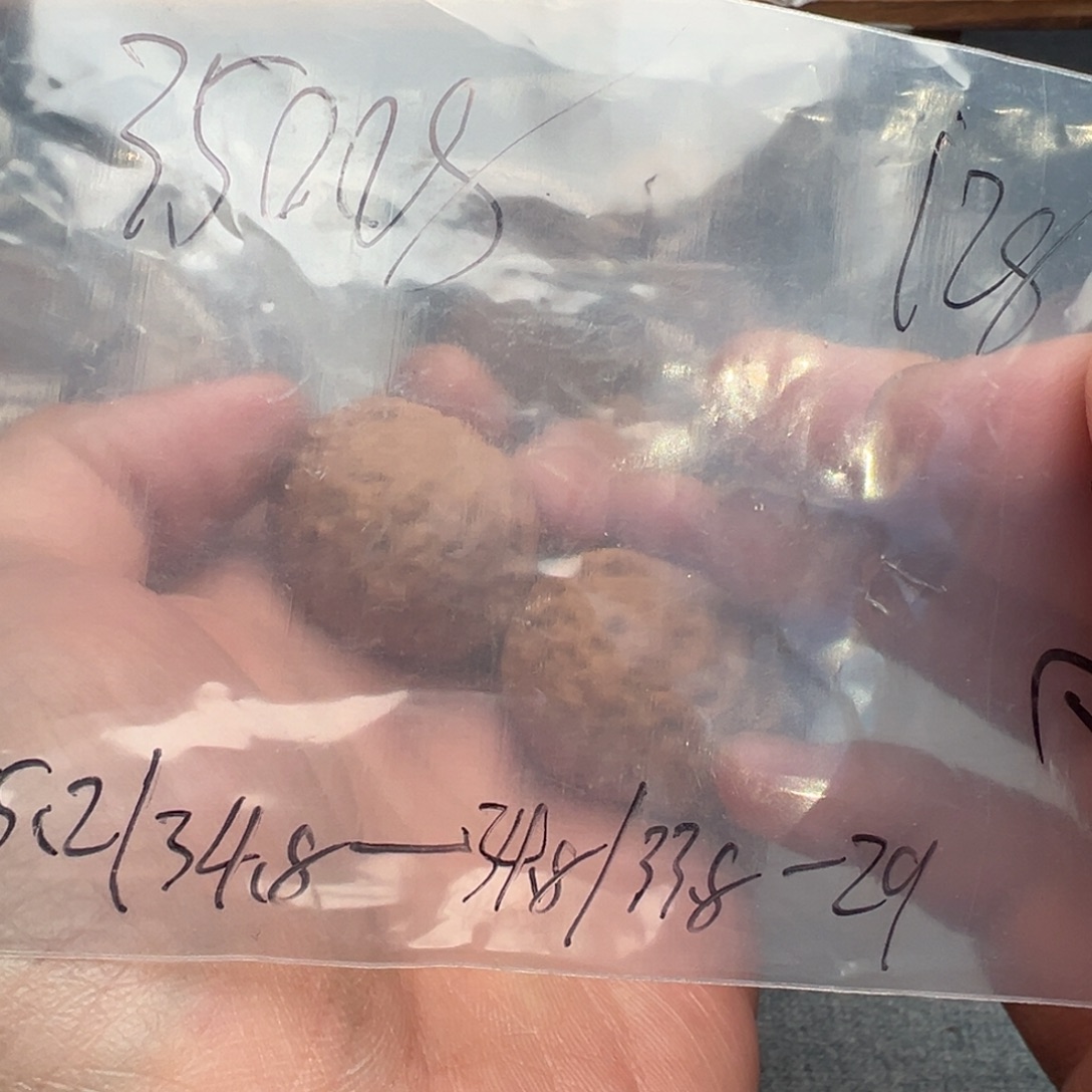 文玩核桃吊坠蓟县野生铁锤