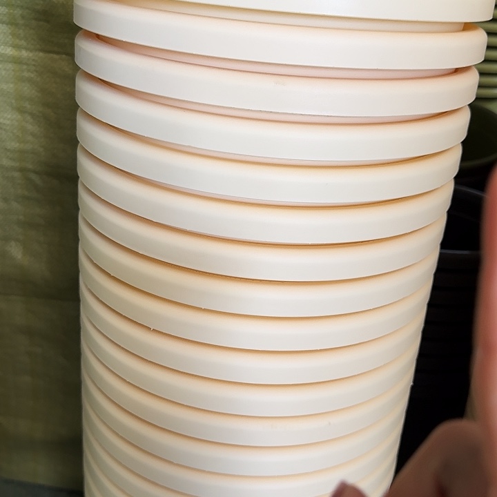 四季5号米黄无拖6个特价微瑕