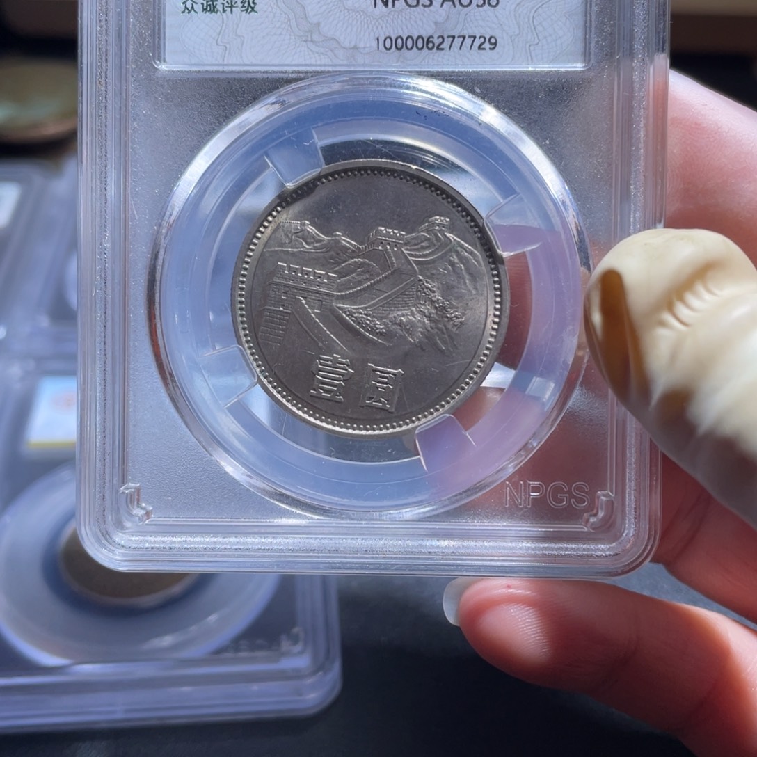 金博古通今肉丸80