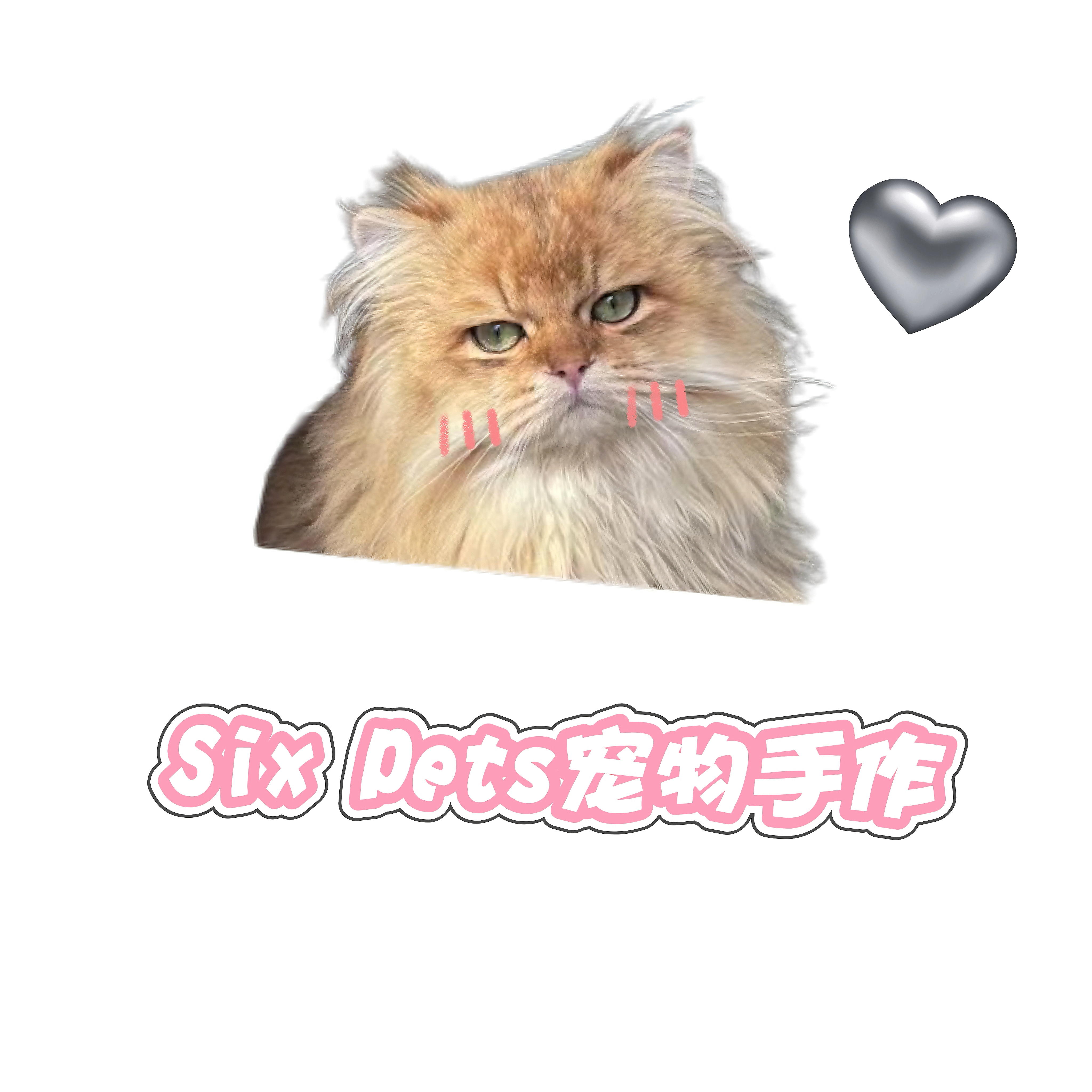 Six Pets宠物口水巾直播过款 默认微瑕不退不换跑单拉黑 备注脖围