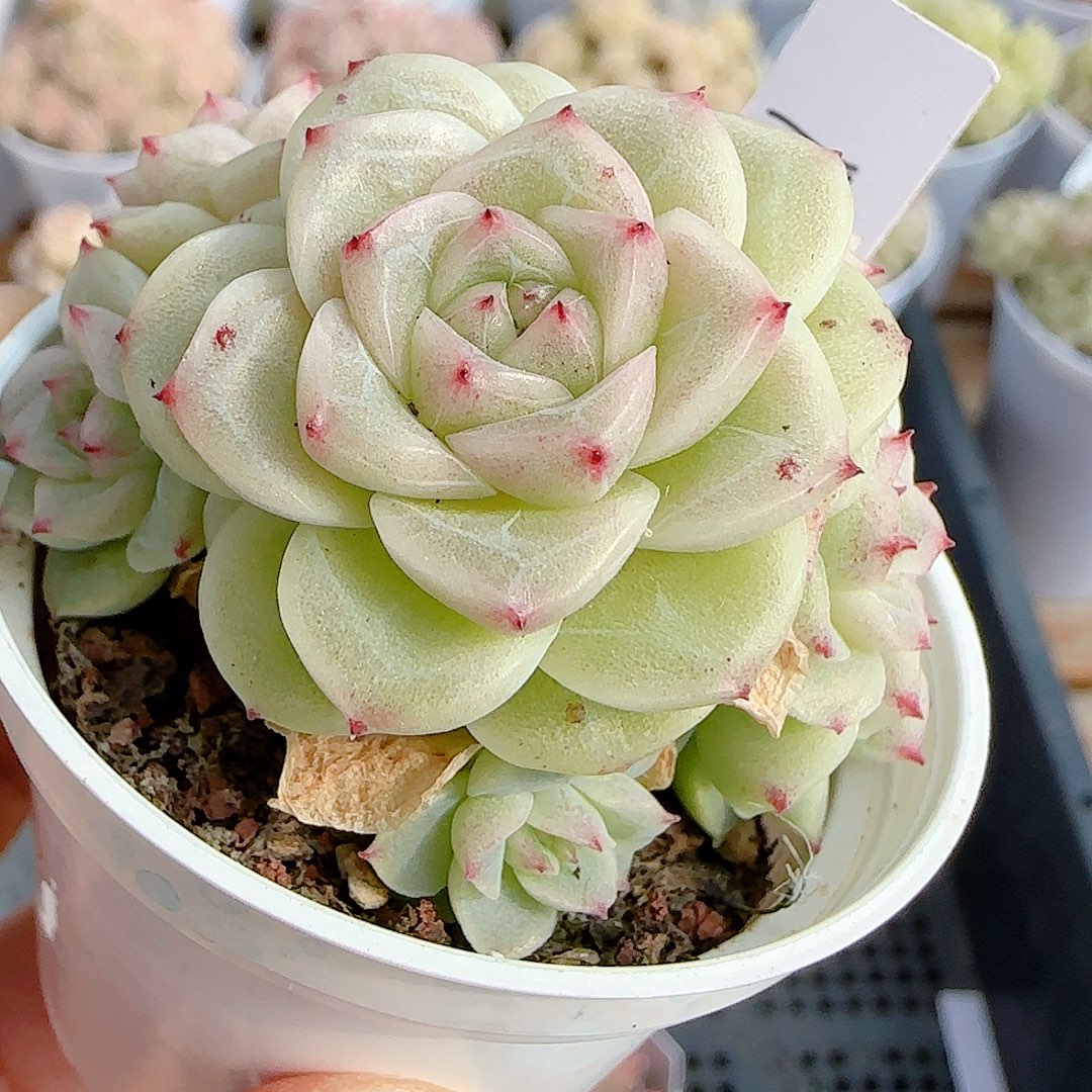 南***倾0101-72（ppt-121）优选