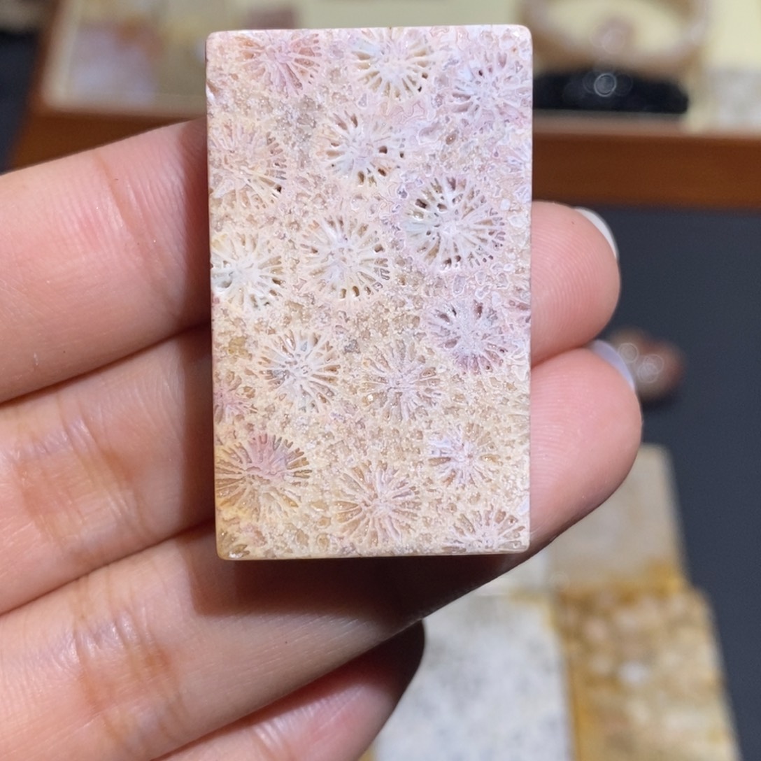 【闪购商品】未镶嵌珊瑚玉硅化玉