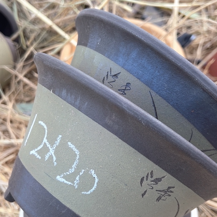 红陶紫砂碗盆口20