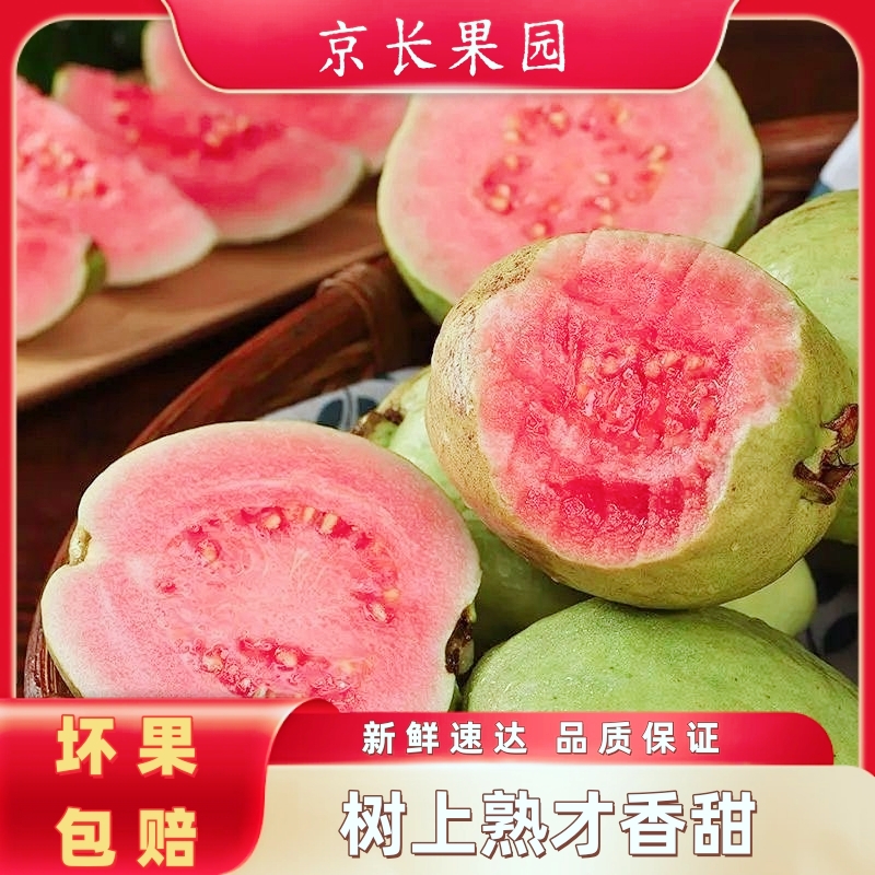 【放软吃】新鲜树熟广西白心红心芭乐番石榴青脆软糯鸡屎果孕妇水果