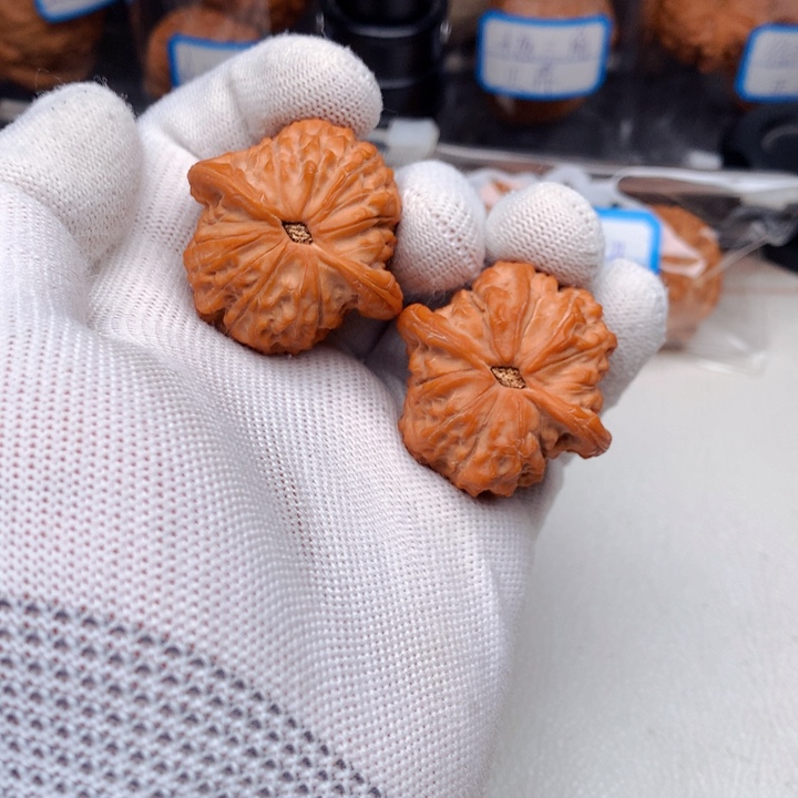 一***间文玩核桃吊坠血麒麟