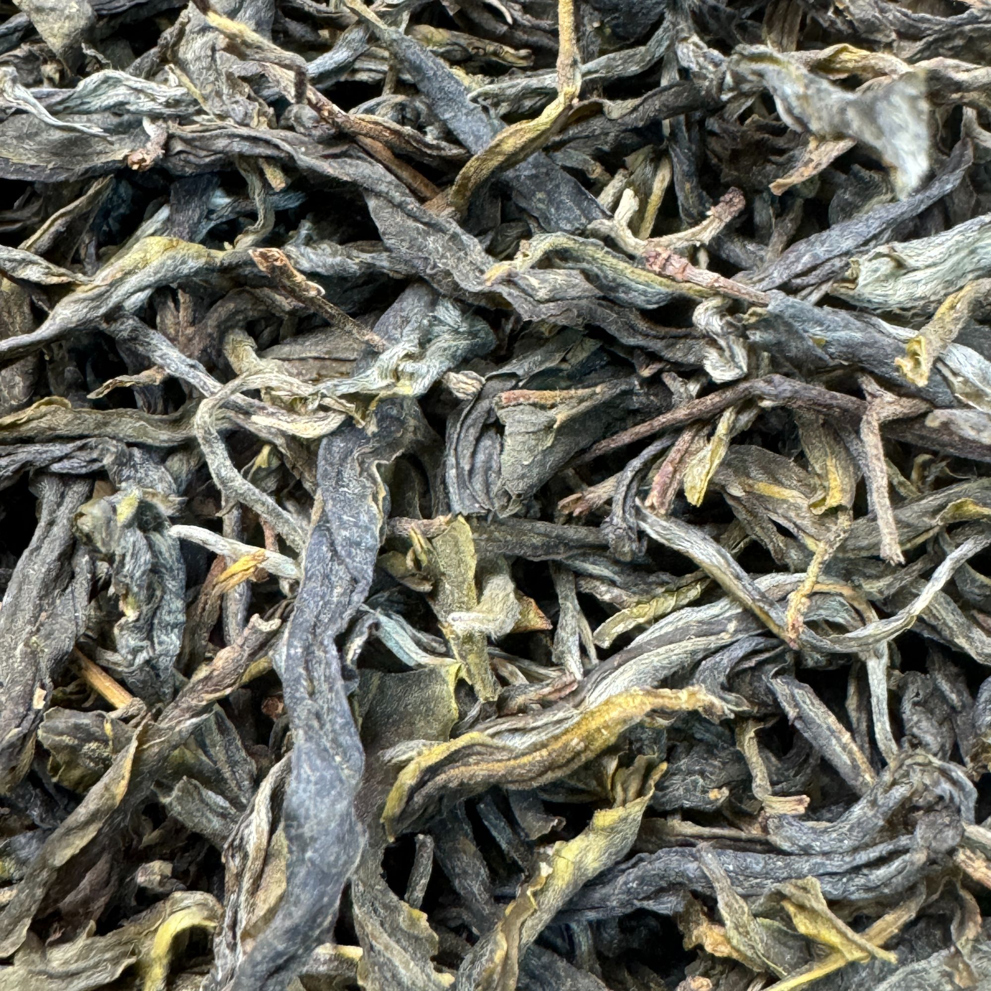 【蓝韵茶叶厂本厂】2025年.春 曼岗岩茶多棵混采单株 普洱生茶 散茶