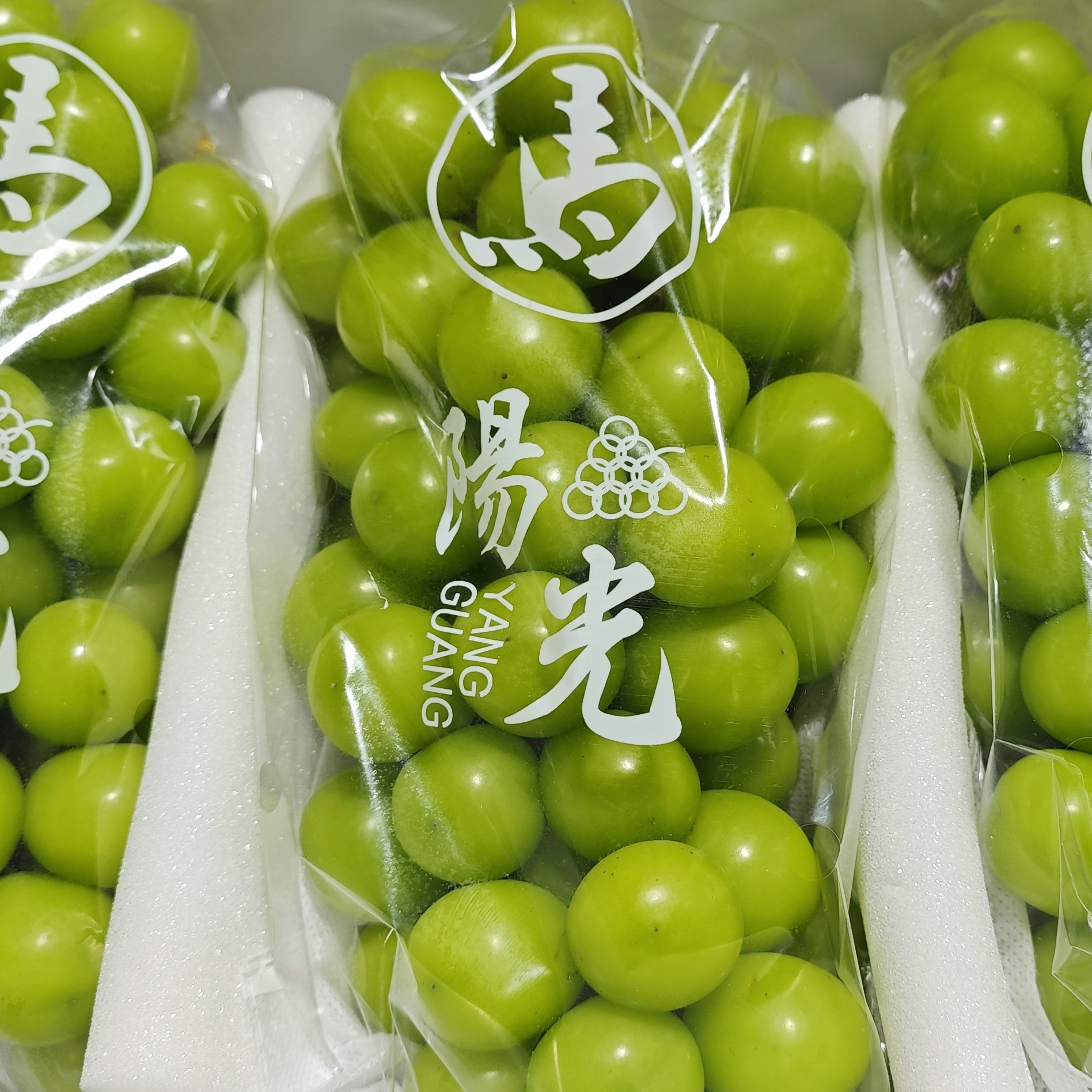 【礼盒】云南A级阳光玫瑰葡萄果粒粒饱满新鲜水果晴王香印青提当季5.5斤整箱云南省