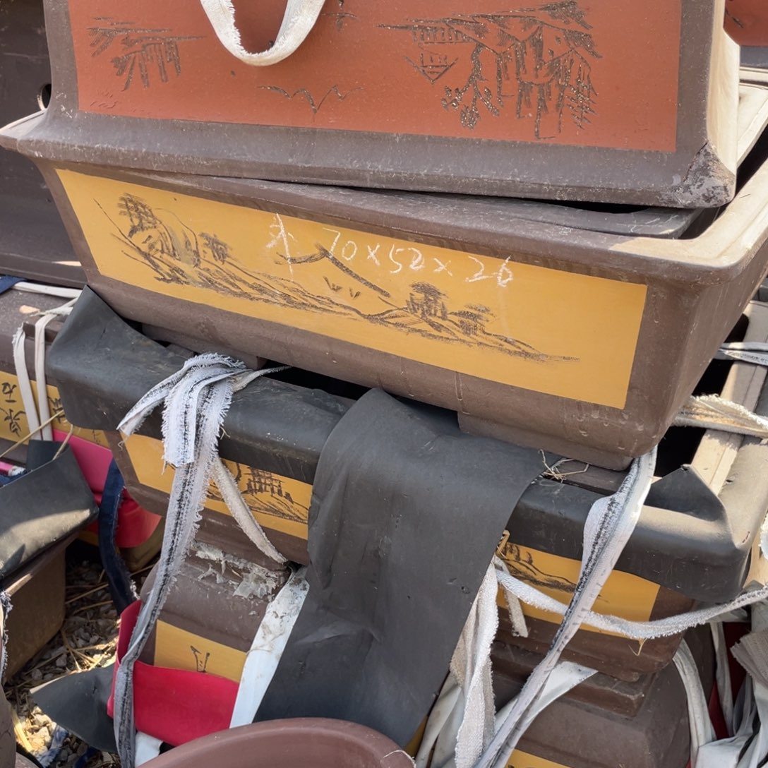 紫砂匆***A70cm 黄 一只