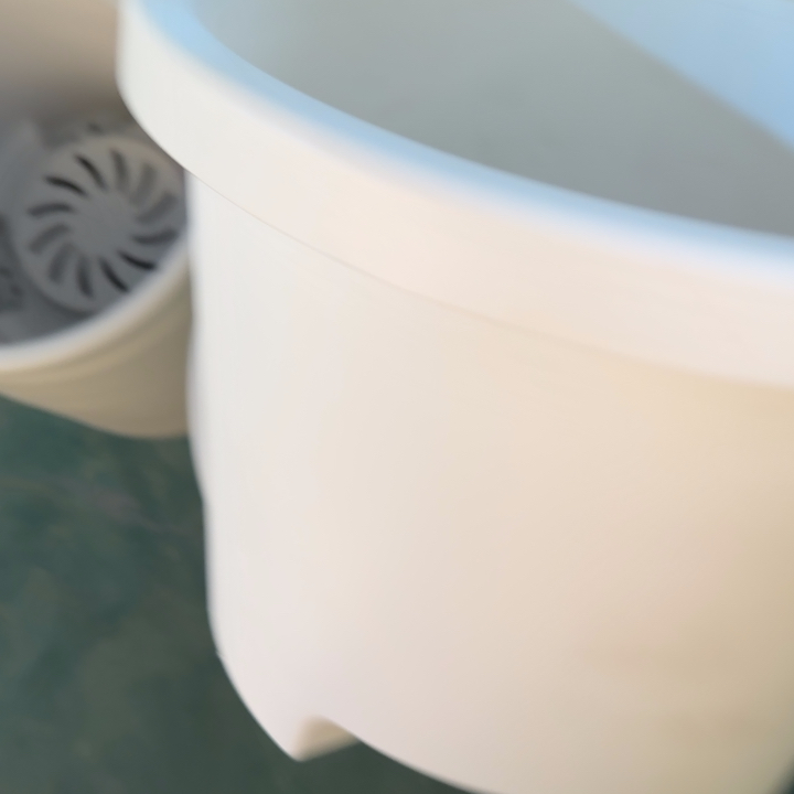 球根4号纯白无托5个