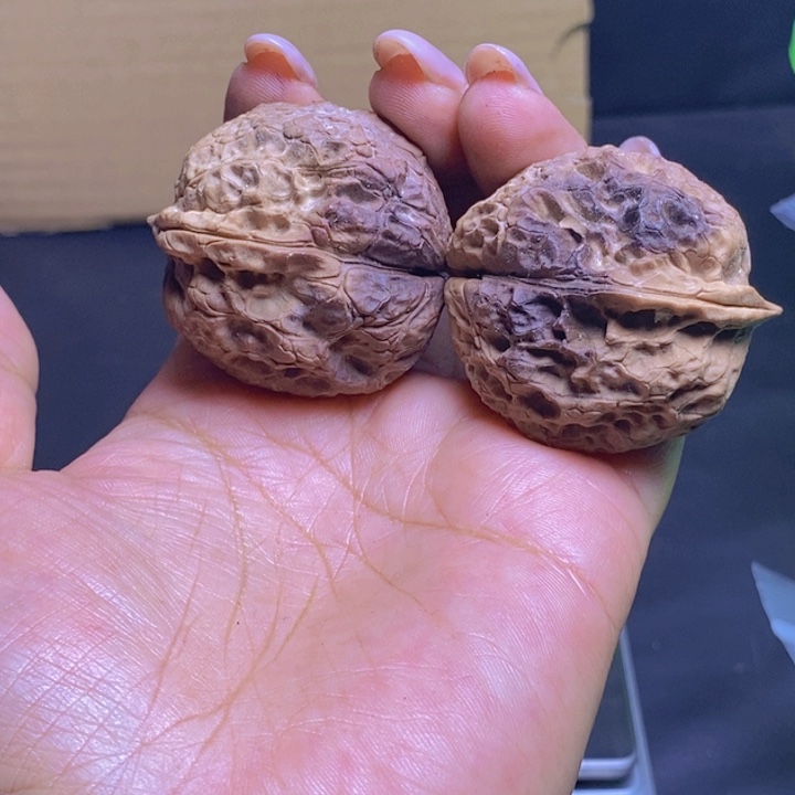 把件文玩核桃57-39mm