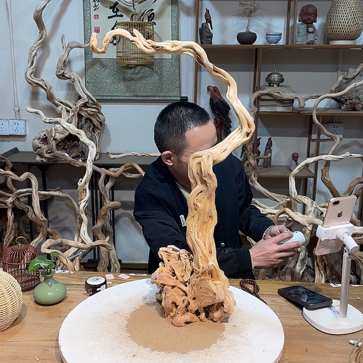 挑***师木杜鹃根天然根艺4