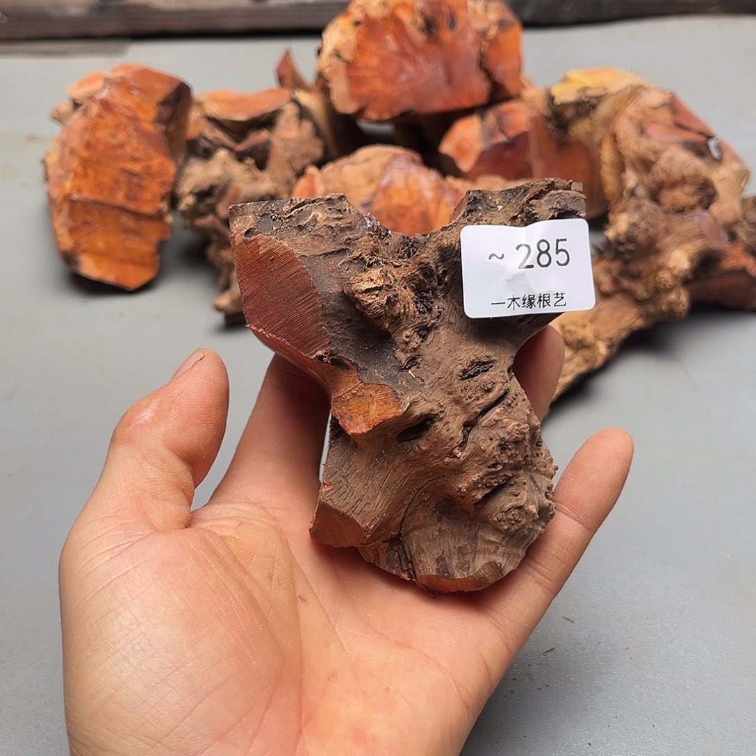 八***子无花朵000000000285