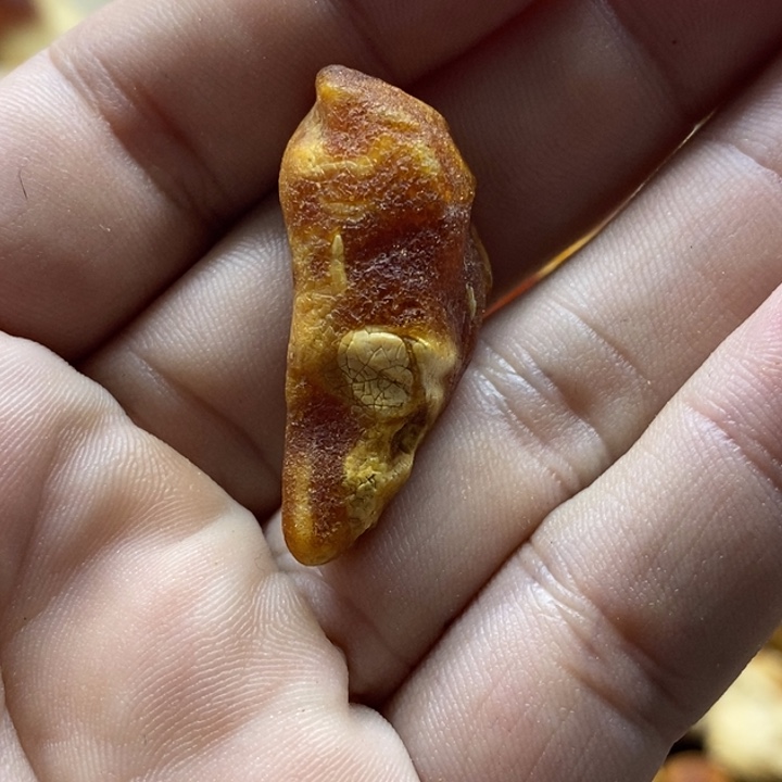 定制琥珀未镶嵌P**e蜜蜡原石定制