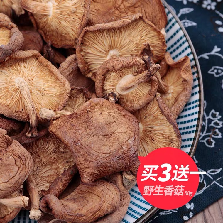 【野外香菇】野外香菇干货云南香蕈特产食用蘑菇干香菇50g