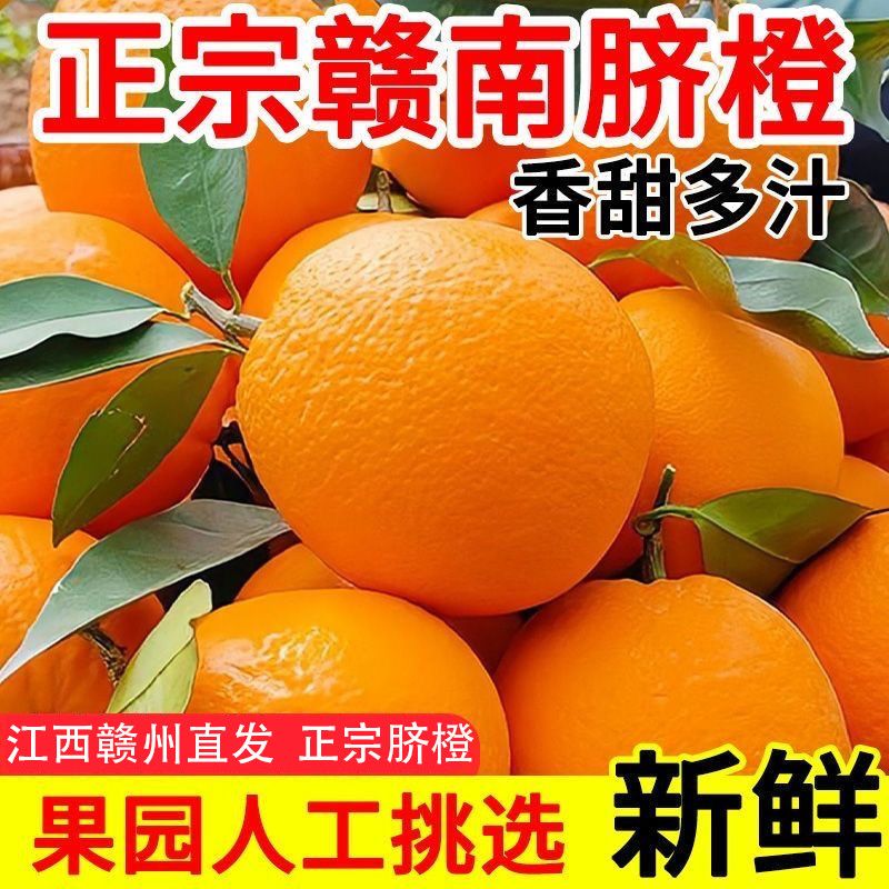 正宗赣南脐橙整箱现摘现发