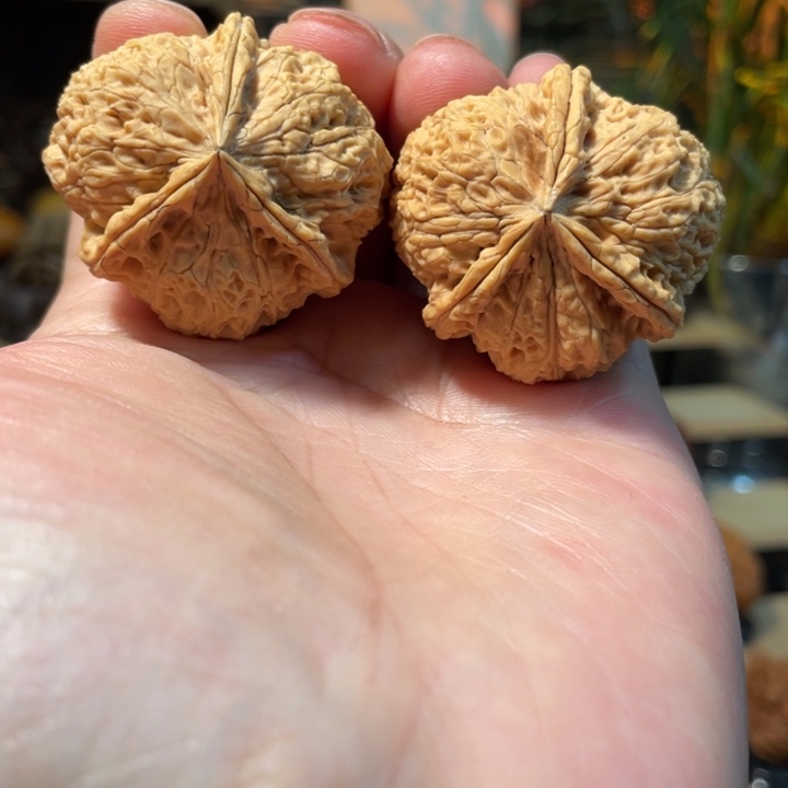 文玩核桃把件编号18