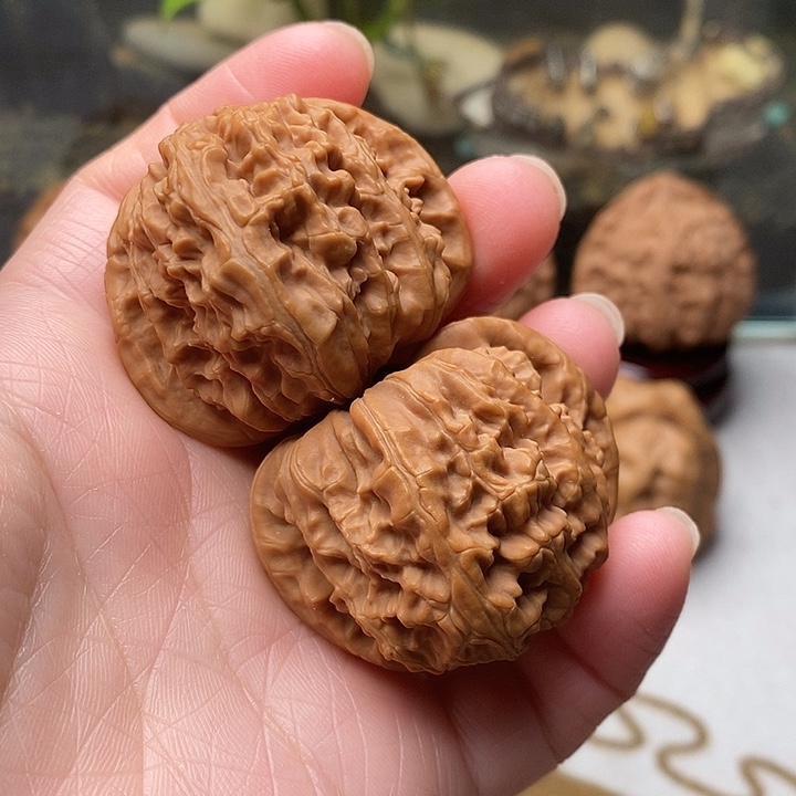 吊坠文玩核桃白狮子