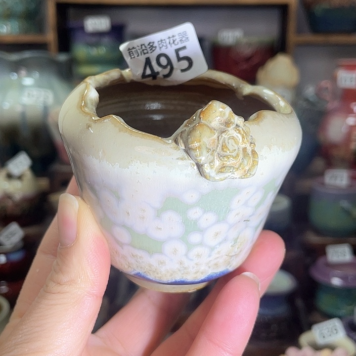 红陶内口径6高度6