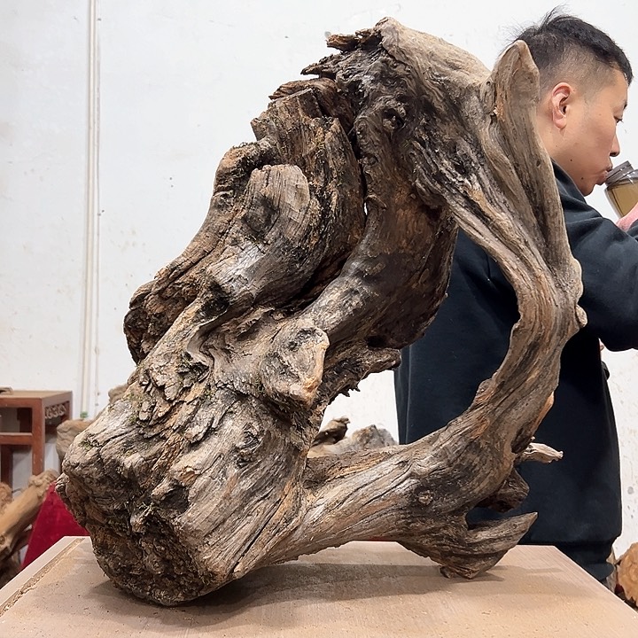 柏木地*狗我们都是好孩子呀我也