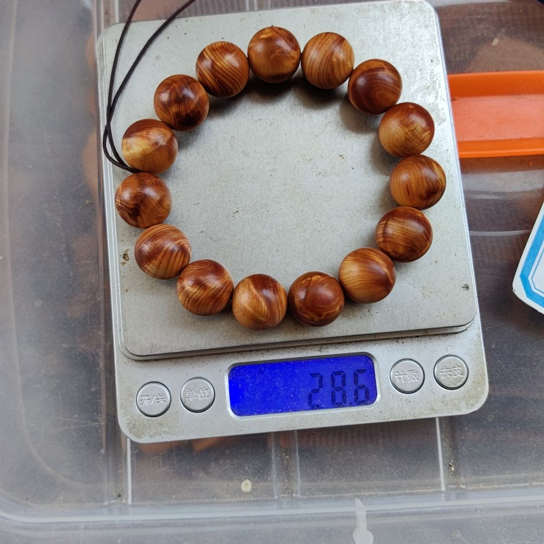 1.5龙胆闪电太行崖柏