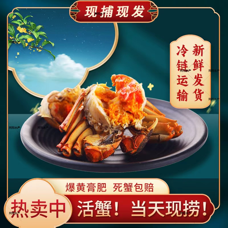 3【活蟹现发】江苏精品大闸蟹 公4.5-4.2母3.5-3.2两对半 到手10只