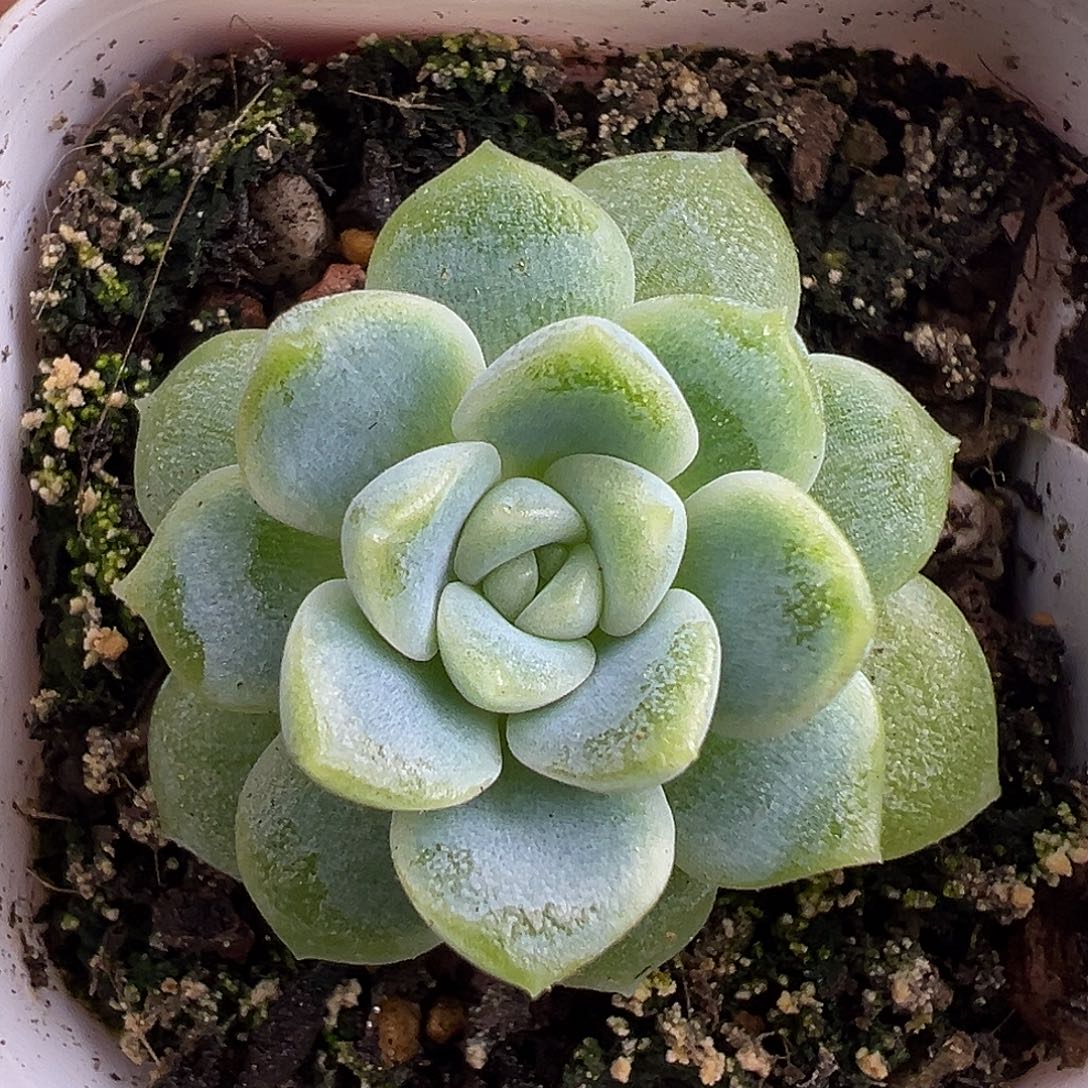 财富密码10。         