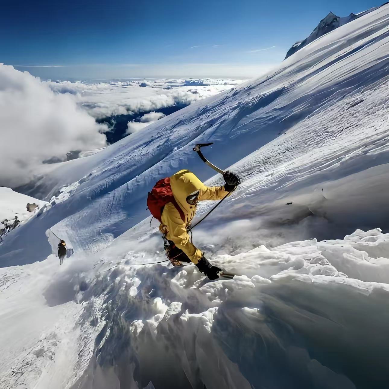 小买买买买买买买菜羽绒服