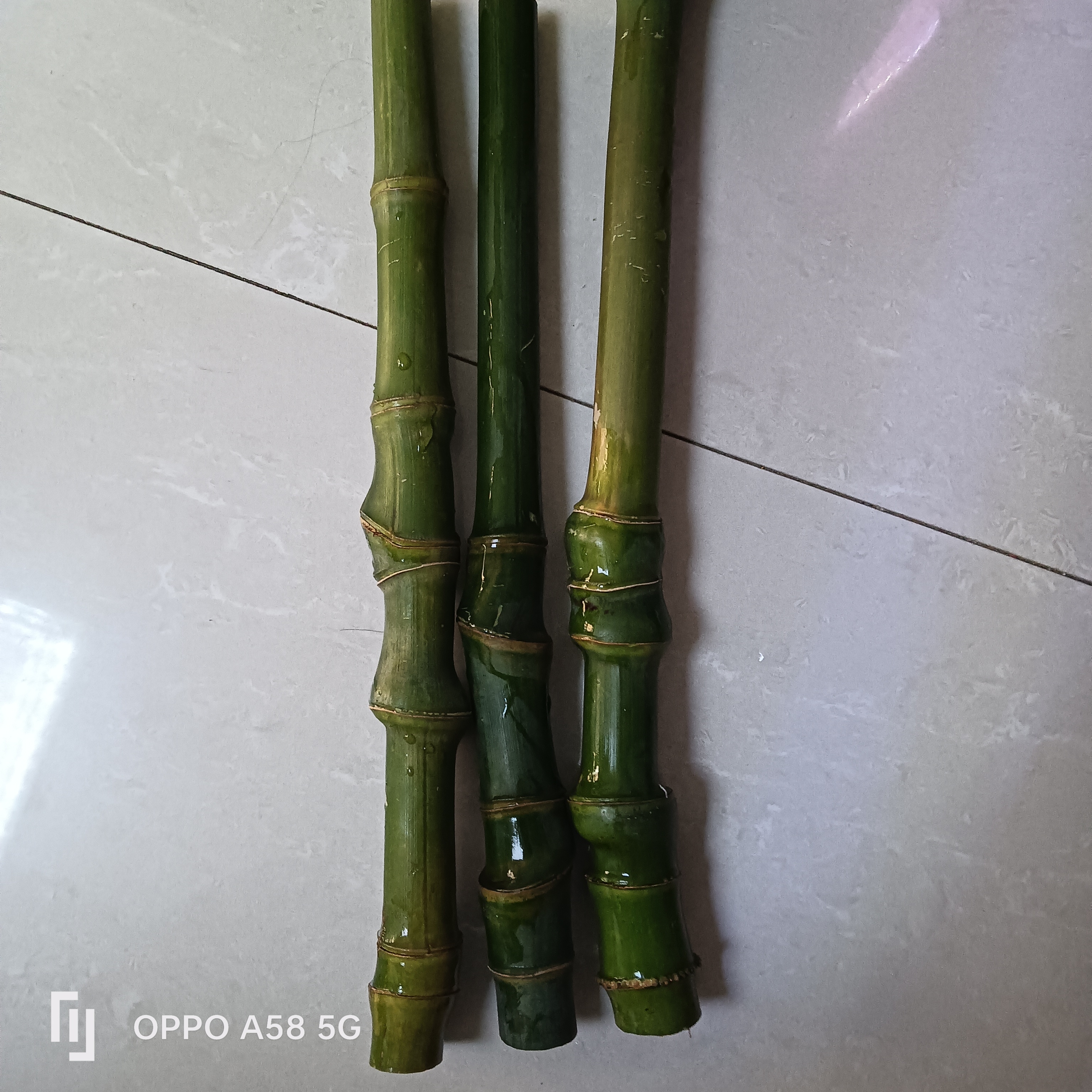 实心玉竹手把件，手持