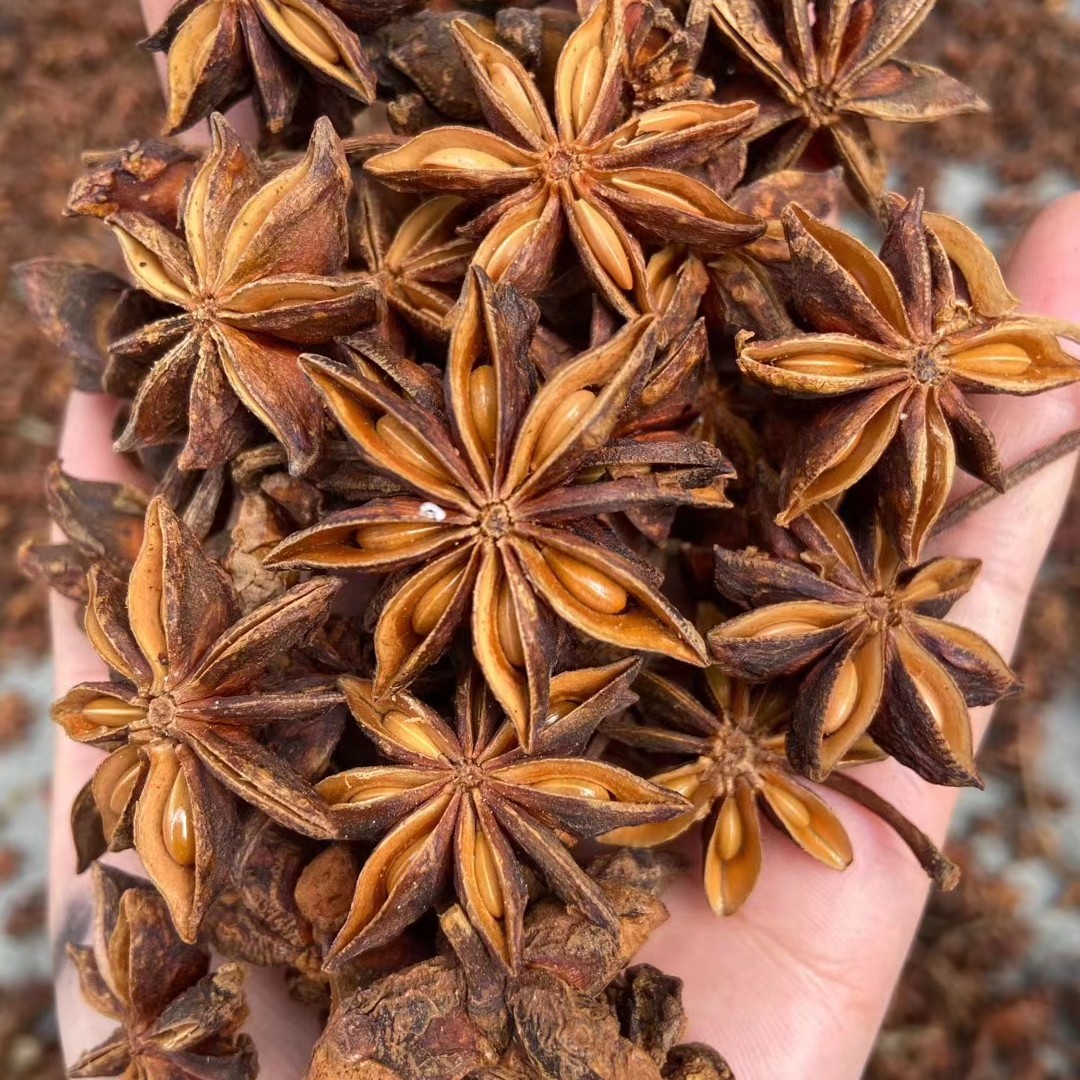 【中国供销】八角 无硫磺自然风干提香去腥