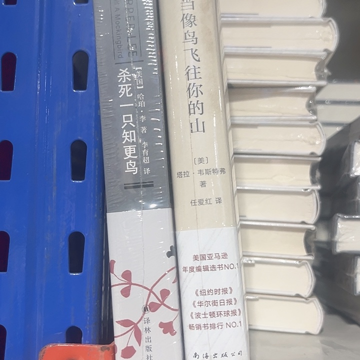 知更鸟，当鸟新书推荐